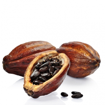 Cacao (10ml)