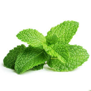 Pepermunt Scrubzout (300ml)