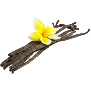 Vanille Scrubzout (300ml)