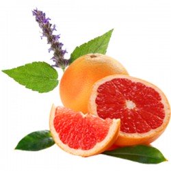 Grapefruit & Patchouli (10ml)