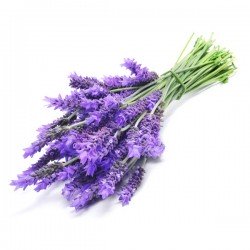 Lavendel Scrubzout (300ml) Lavendel Scrubzout (300ml)